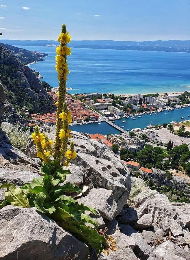 Amazing Sea View Appartement Omiš Buitenkant foto
